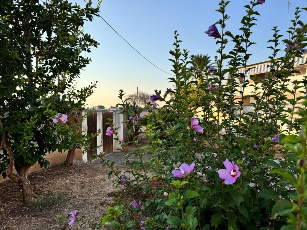 Giardino al tramonto della casa vacanze nel Salento