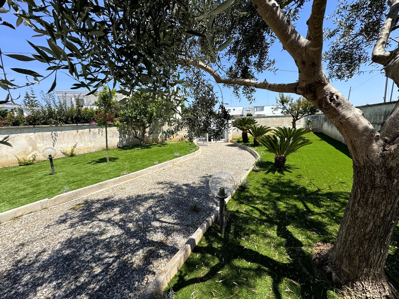 Giardino con ulivi e alberi da frutto della casa vacanze