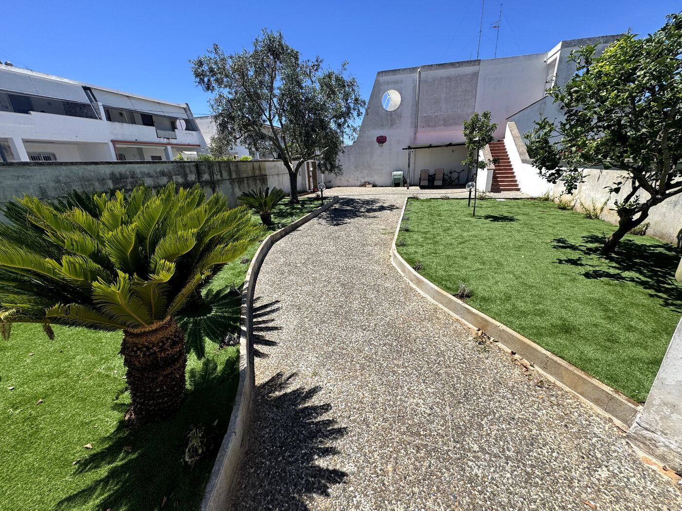 Ingresso e vialetto con palme della DAMA del Salento